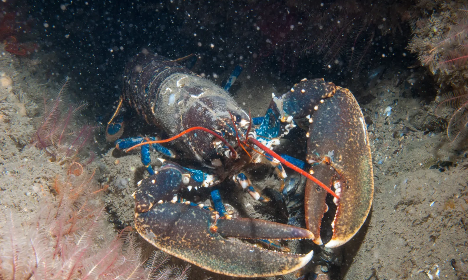 20240903 Column Theo