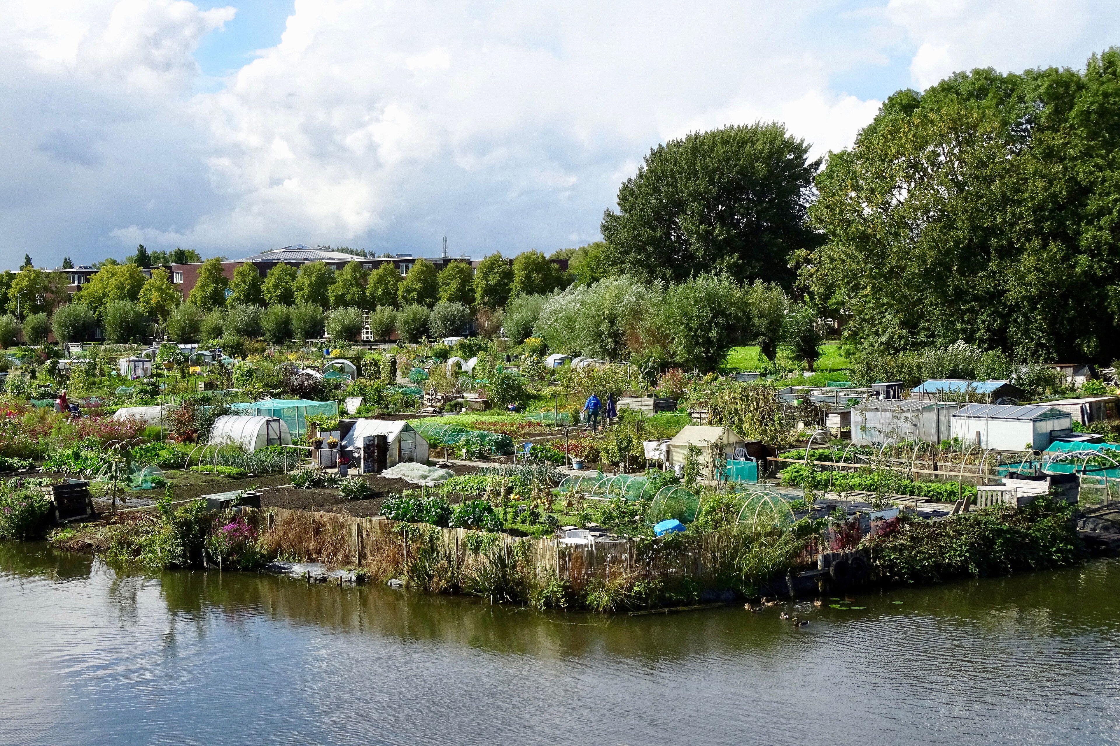 20251202 ColumnAnton waterlozing3