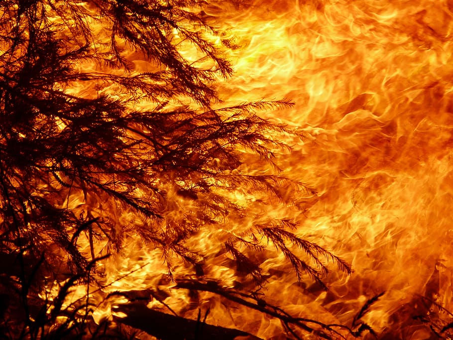20200107 Lisanne fire heat flame burn