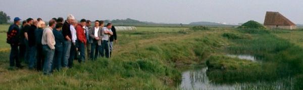 modelregelgeving