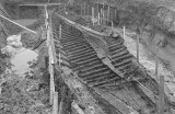zwammerdam